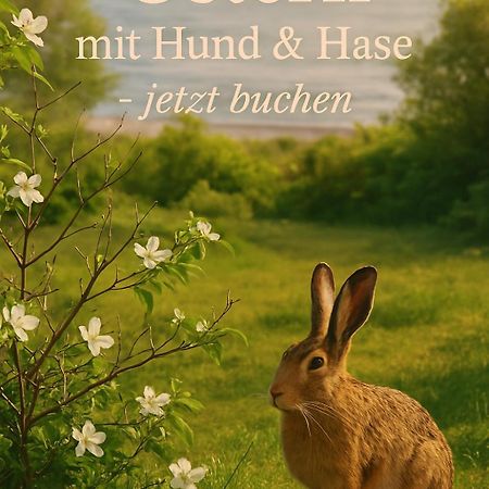 Fewo Ostseele - Julchen Timmendorfer Strand Ngoại thất bức ảnh